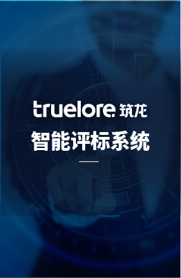 智能評標(biāo)系統(tǒng)